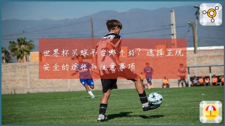 世界杯买球平台哪个好？选择正规安全的途径和注意事项