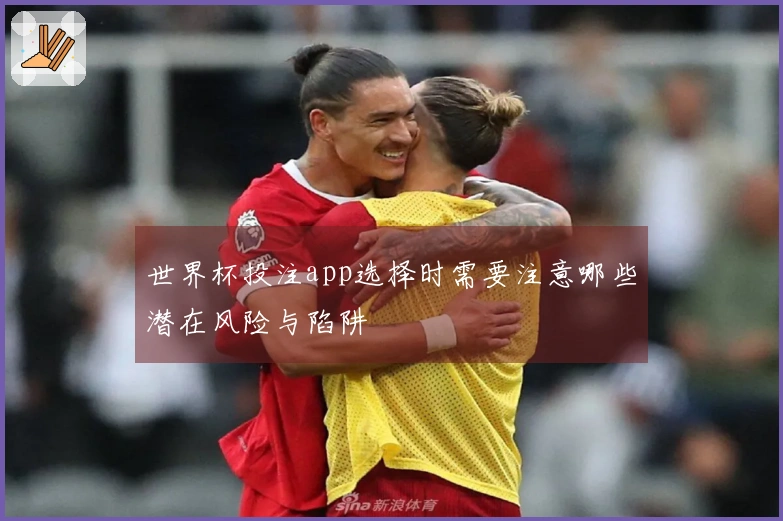 世界杯投注app选择时需要注意哪些潜在风险与陷阱